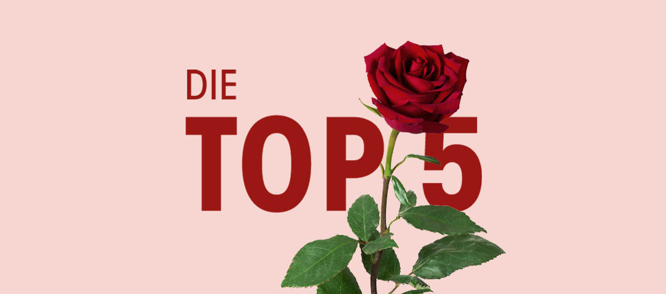 Lieblingsblumen von Frauen zum Valentinstag "Die Top 5" Schriftzug und eine rote Rose