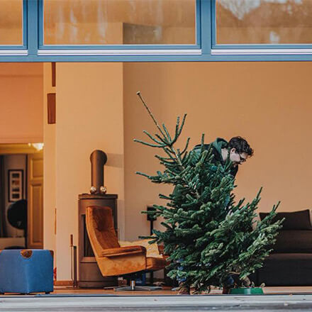 Ein Mann stellt einen Weihnachtsbaum in einem Wohnzimmer auf.