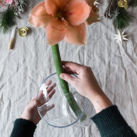 Tischdeko mit Amaryllis Step 3 Amarillys werden in einer Vase arragniert