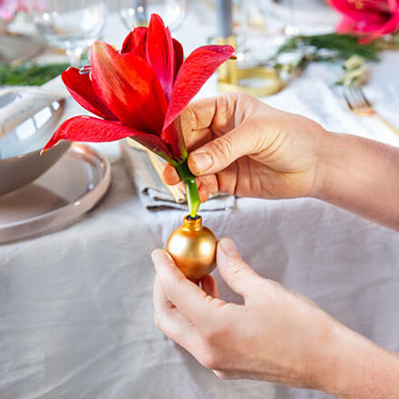 Blog Beitrag Amaryllis Tischdeko Step 3 Amaryllis in die Weihnachtskugel arrangieren