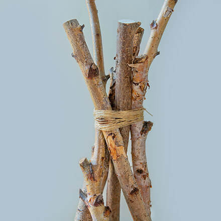 Blog Beitrag Alternativ Weihnachtsbaum Step1 Birkenäste werden mithilfe von einer Kordel am oberen Ende zusammen gebunden. Es ergibt eine Art Tippigerüst.