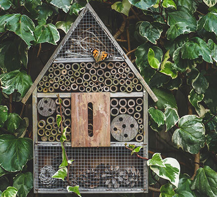 Insektenhotel Insektenhotel in grüner Umgebung