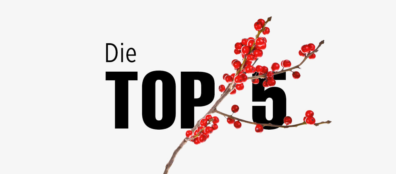 Die 5 beliebtesten Blumen zu Weihnachten Bild mit dem Schriftzug: Die Top 5