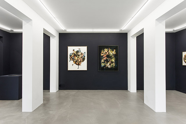 Renata Kulacek BBA Gallery 1 BBA Gallery