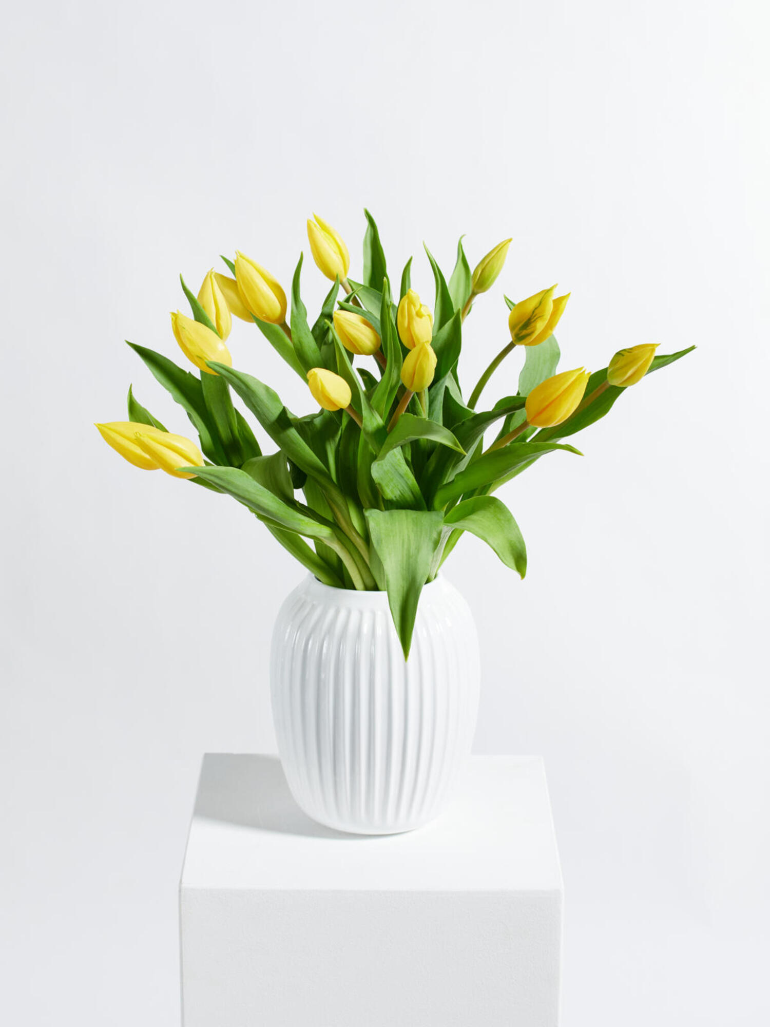 Blumenstrauß Yellow Tulips - L