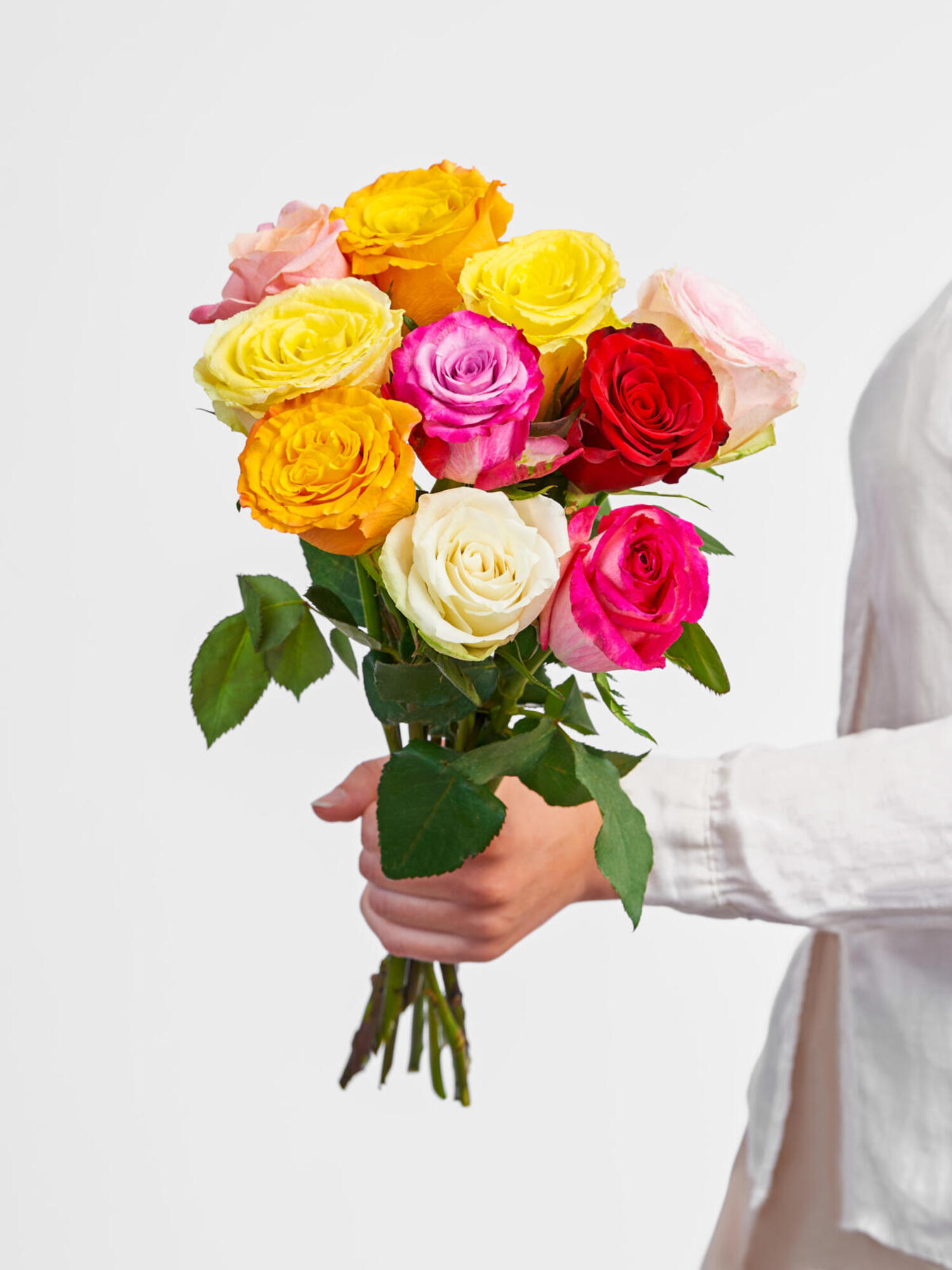 Colorful Roses Colorful Roses