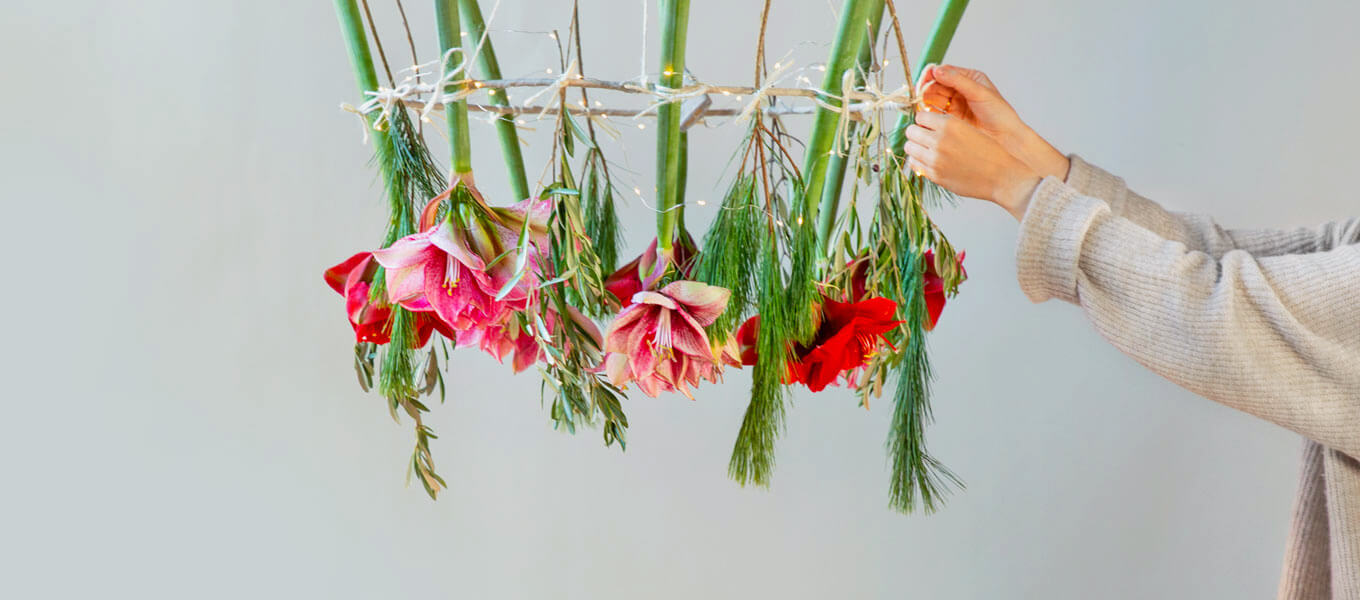 Hängende Amaryllis-Tischdeko Fertige Amaryllis Tischdeko