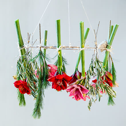 Blog Beitrag Tischdeko Weihnachten 2 Amaryllis an einen hängenden Kranz befestigt.