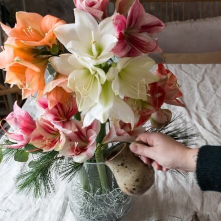 Tischdeko mit Amaryllis Ergebnis die Vase wird mit etwas Wasser gefüllt