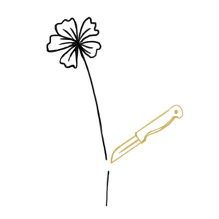 Blumen pflegen - Tipps & Tricks Blumen anschneiden