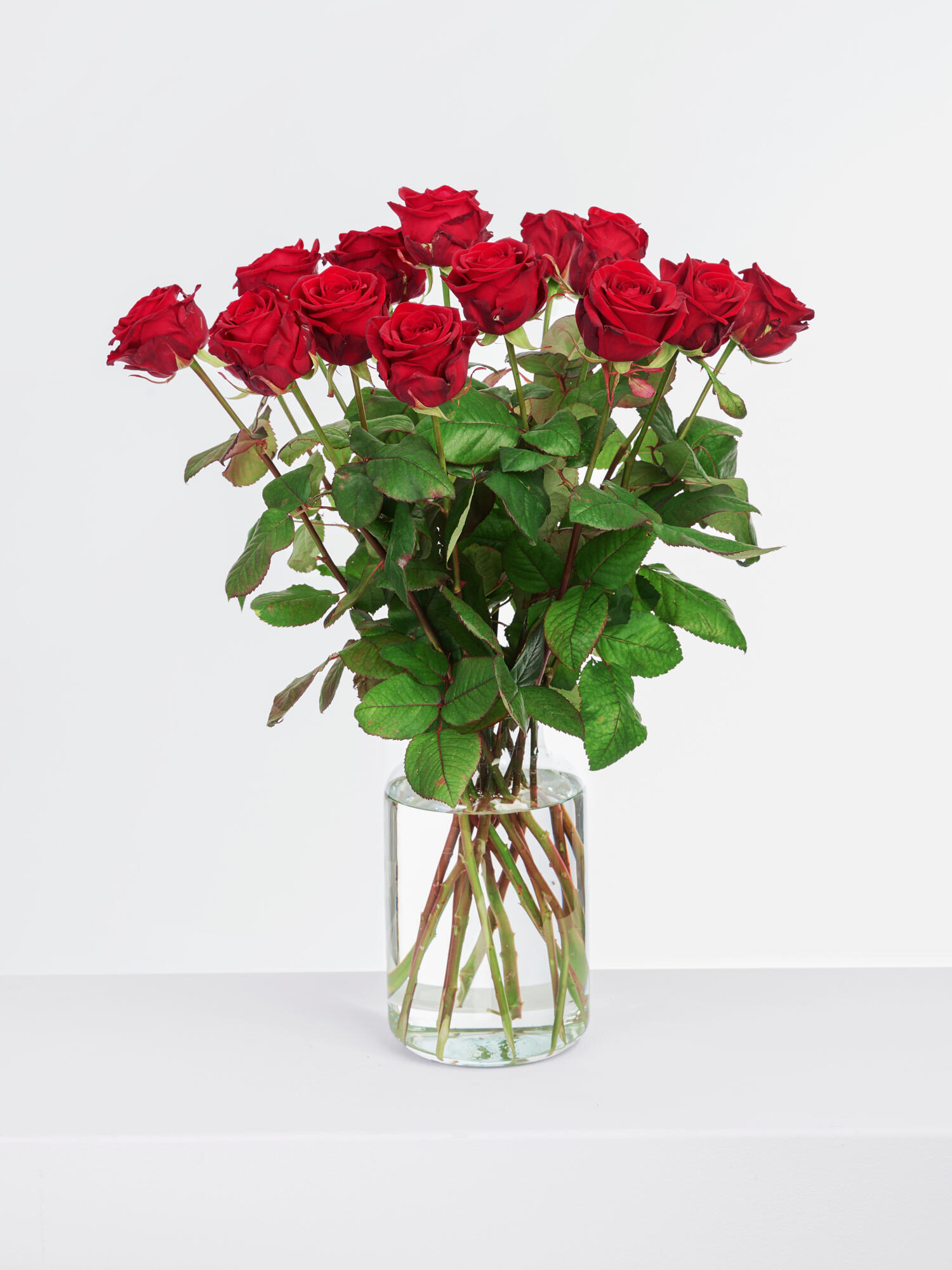 Rote Rosen Rote Rosen