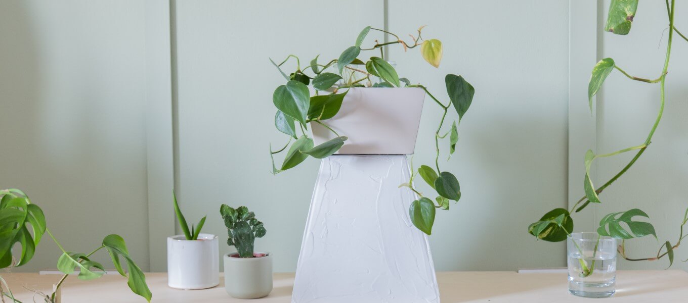 Pflanzen-Ständer für Zimmerpflanzen selber machen - Upcycling-Idee DIY Pflanzen-Ständer für Zimmerpflanzen