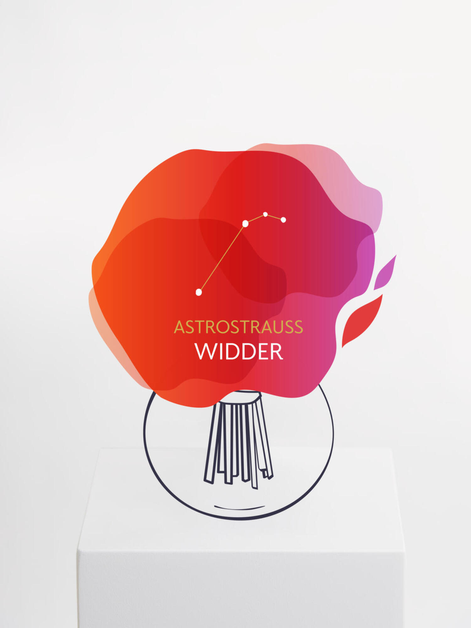 Astrostrauß Widder