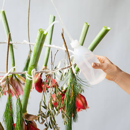 Blog Beitrag hängende Tischdeko Step 5 Mit einer Wasserflasche die Amaryllis mit Wasser versorgen.