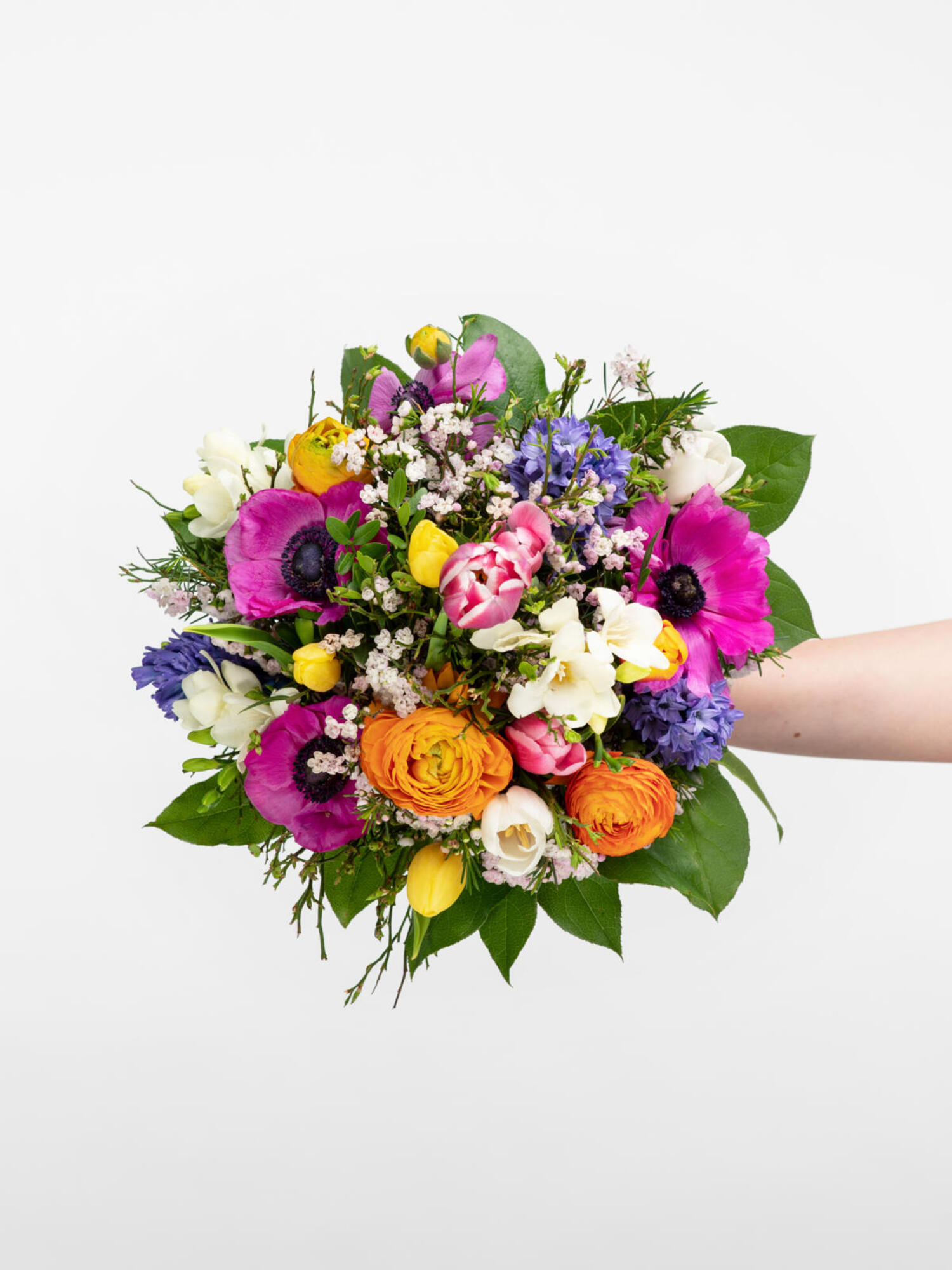 Bunte Freude