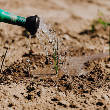 Trockener Boden wird mithilfe einer Gießkanne bewässert