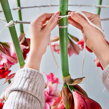 Blog Beitrag hängende Tischdeko Step 4 Die Amaryllis mit den Jutekordeln an dem Metallring befestigen.