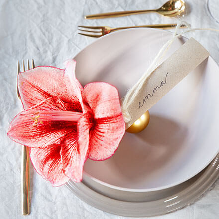 Blog Beitrag Amaryllis Tischdeko Fertige Platzdeko mit Amaryllis