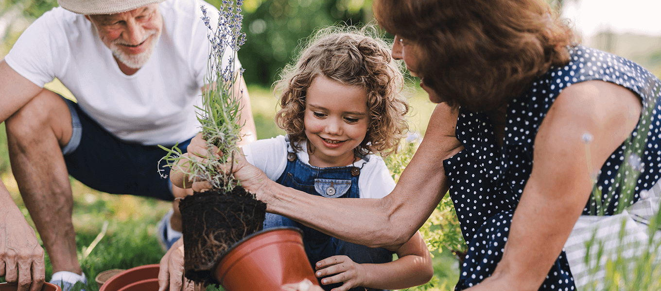 Eine Familie mit kleinem Kind beim eintöpfen einer Pflanze