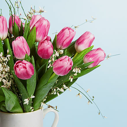 Tulpen richtig pflegen Rosa Tulpen arrangiert in einer Vase