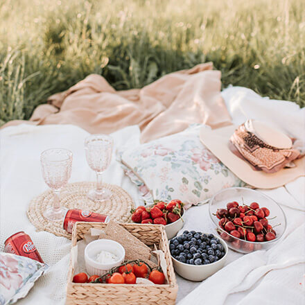 Picknicksituation auf einer Wiese mit Erdbeeren und Blaubeeren