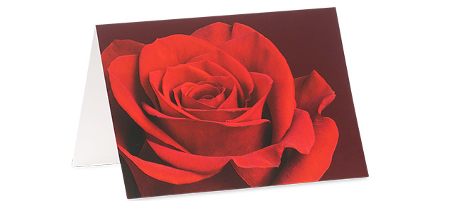 Grusskarte mit dem Motiv Rote Rose