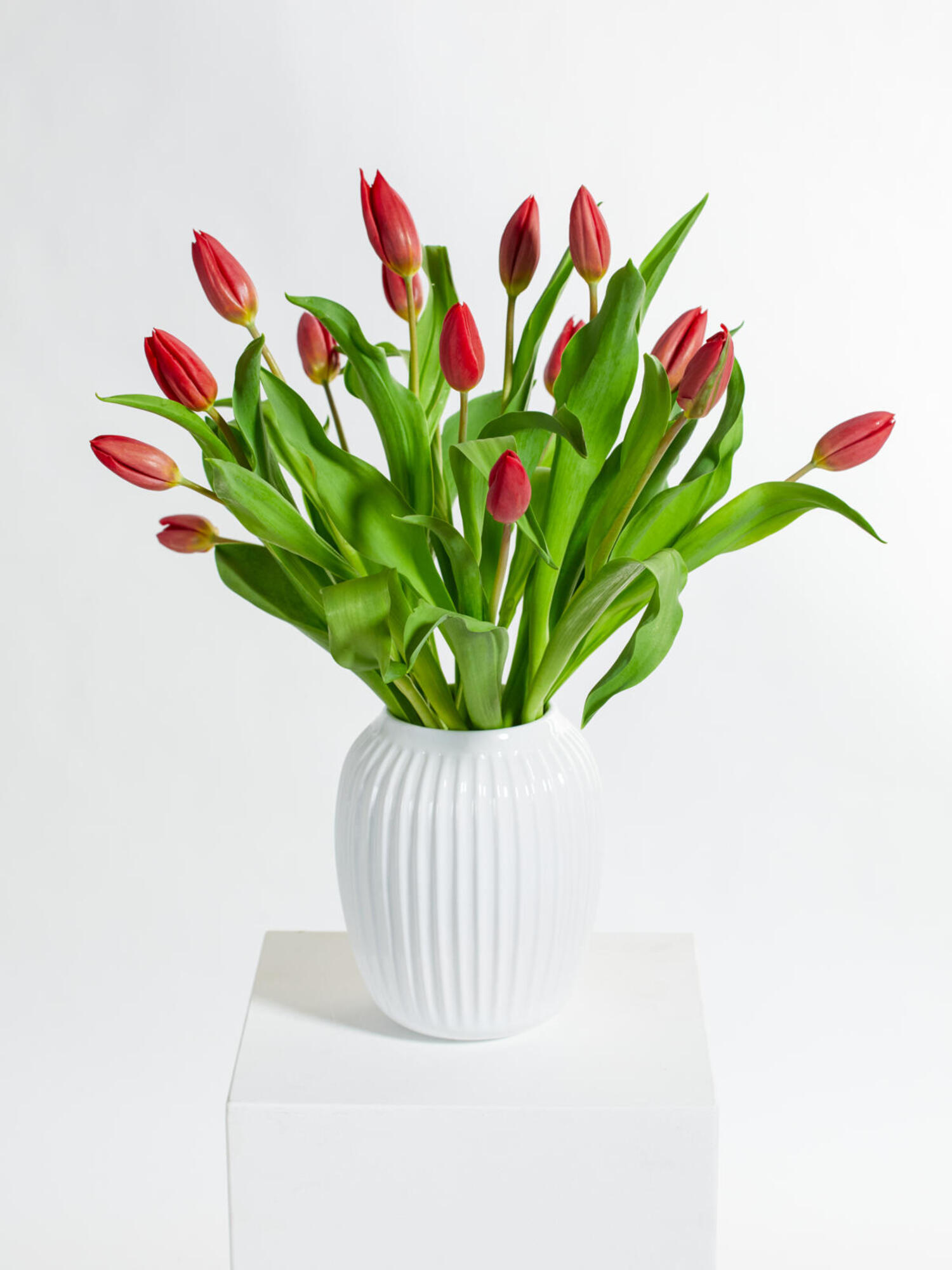 Blumenstrauß Red Tulips - L