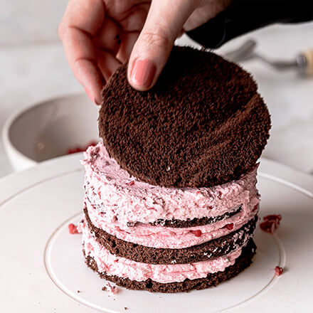 Valentinstag-Torte: letzten Boden auflegen letzter Biskuitboden wird aufgelegt