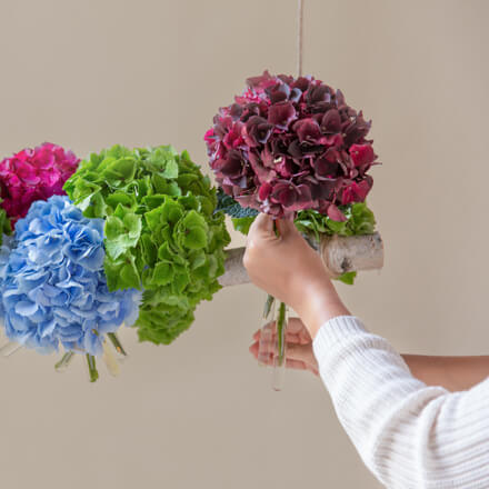Close Up einer hängenden Blumeninstallation mit Hortensien, welcher noch eine weitere Hortensie hinzugefügt wird.