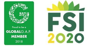 Globalgab und Fsi Zertifizierung Globalgab und Fsi Zertifizierung