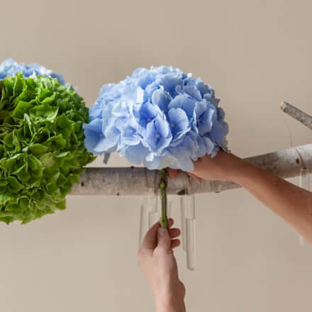 Hängende Blumendeko mit Hortensien: Step 4 Ein am Birkenast hängendes Reagenzglas wird mit einer blauen Hortensie befüllt