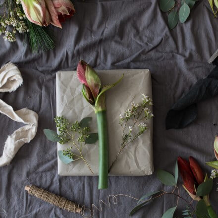 Material für die Geschenkverpackung mit Amaryllis Material für die Geschenkverpackung mit Amaryllis