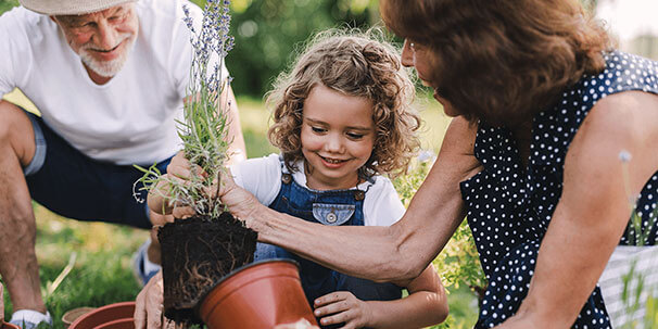 Eine Familie mit kleinem Kind beim eintöpfen einer Pflanze